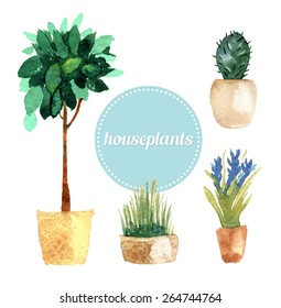 Watercolor vector set of house plants. Vector illustration