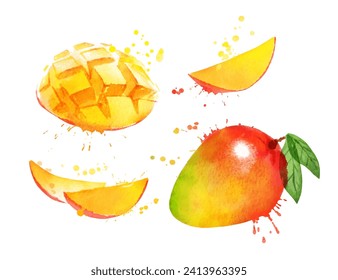 Watercolor vector set of illustrations of mango, whole and sliced with leaf and paint smudges and splashes.