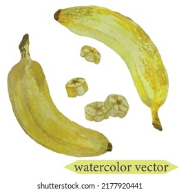 Watercolor vector set, isolated bananas	
