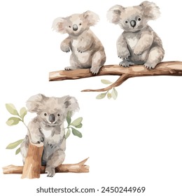 watercolor vector Set of koala (bear) on branch, isolated on white background, koala vector, illustration art, Drawing clipart, Graphic Painting.	