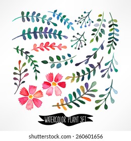 Watercolor vector set with leaves and flowers. hand-drawn illustration