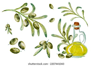 Watercolor vector set with olive. Hand painted illustration with olive berries, bottle with olive oil and tree branches with leaves isolated on white background. For design, print and fabric.