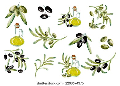 Watercolor vector set with olive. Hand painted illustration with olive berries, bottle with olive oil and tree branches with leaves isolated on white background. For design, print and fabric.