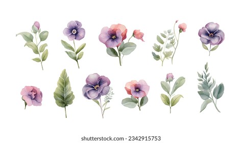 Watercolor vector set with pansies. Hand drawn by watercolors. Summer bloom violet plant decoration design elements