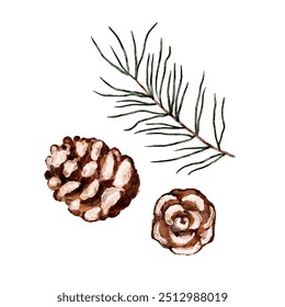 Watercolor vector set of pine branch with rare needles and cones cut out from background