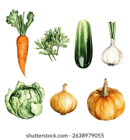 Watercolor vector set of vegetables carrot lettuce pumpkin onion and garlic Hand painted botanical illustration