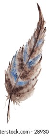 Watercolor vector single feather isolated