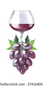 Watercolor vector sketch of grape and wine