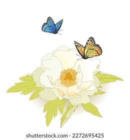 Watercolor vector sketch set of white delicate blooming spring peony and two flying bright butterflies