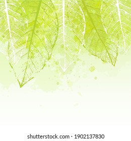 Watercolor vector spring abstract background with leaves. Watercolor template in green colors for text. Splash design for  flyer, card, banner and poster