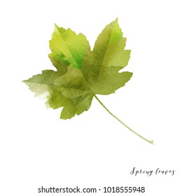 Watercolor vector spring leaves
