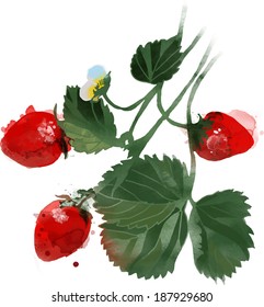 watercolor vector strawberry