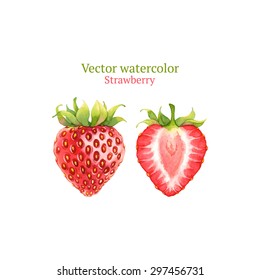 Watercolor Vector Strawberry