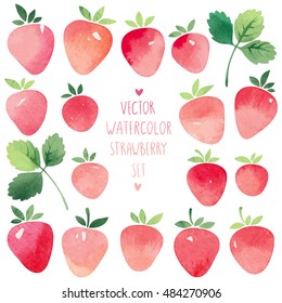 Watercolor Vector Strawberry Set