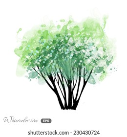 Watercolor  vector summer tree