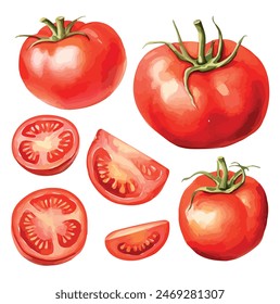 Watercolor vector of tomato set, isolated on a white background, tomato vector, drawing clipart, Illustration Vector, Graphic Painting, design art, logo