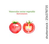 Watercolor vector tomatoes