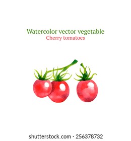 Watercolor vector tomatoes