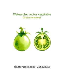 Watercolor vector tomatoes