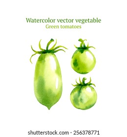 Watercolor vector tomatoes