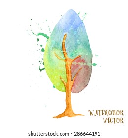 Watercolor vector tree isolated on white. Splashes and tree are on different layers.Olive and oak trees.