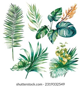 Watercolor vector tropical. palm leaves and flower, jungle leaves, split leaf, philodendron leaves , monstera leaves, vector leaf, isolated on white background. watercolor illustrations