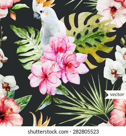 watercolor vector tropical pattern, pink frangipani flowers and white parrot dark background