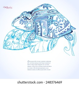 Watercolor vector turtle