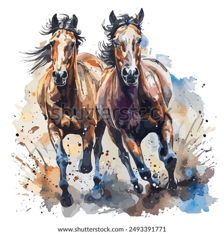 Watercolor vector of two muscular running horses, isolated on a white background, horses clipart