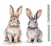 watercolor Vector of two rabbit, isolated on a white background, rabbit vector, Illustration painting, Graphic clipart.