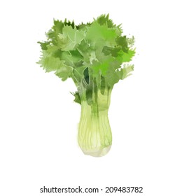 watercolor vector vegetables.