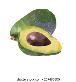 watercolor vector vegetables. Avocado