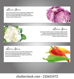 watercolor vector vegetables background. Banners with red cabbage, cauliflower and sweet pepper