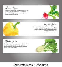 watercolor vector vegetables background. Banners with radish, lettuce and pepper