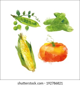 watercolor vector vegetables set