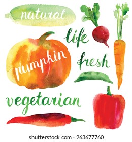 watercolor vector vegetables set
