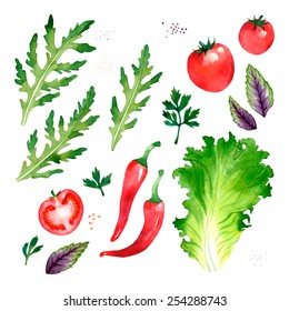 Watercolor vector vegetables set with arugula, parsley, tomato, pepper, lettuce, basil