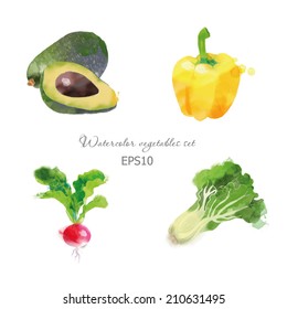 Watercolor vector vegetables set with lettuce, avocado, radish and pepper