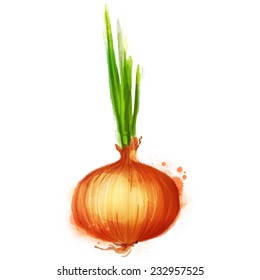 Watercolor vector vegetables set: onion on white
