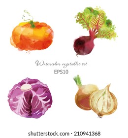 watercolor vector vegetables set with pumpkin, onion, beet and red cabbage