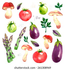 Watercolor vector vegetables set with wild mushrooms, red and green tomatoes, asparagus, eggplant, parsley and basil