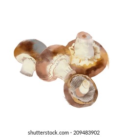 Watercolor Vector Vegetables.Champignon Mushroom