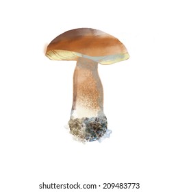 watercolor vector vegetables.mushroom