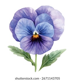 Vetor aquarela de flor violeta, isolado em um fundo branco, pintura de flor violeta