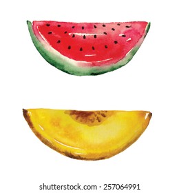 Watercolor vector water melon