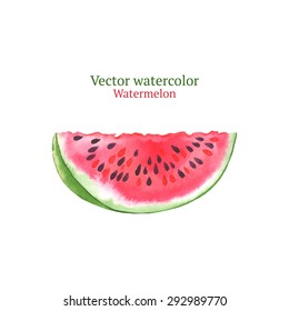 Watercolor vector watermelon