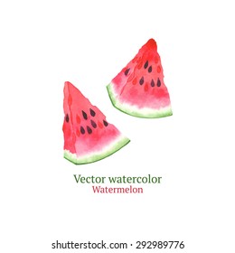 Watercolor Vector Watermelon