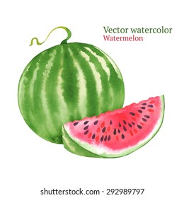 Watercolor vector watermelon