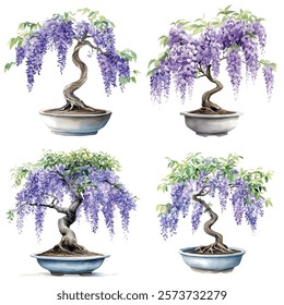 Watercolor vector of Wisteria Bonsai 
collection, isolated on a white background, Wisteria Bonsai painting