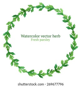Watercolor vector wreath with parsley